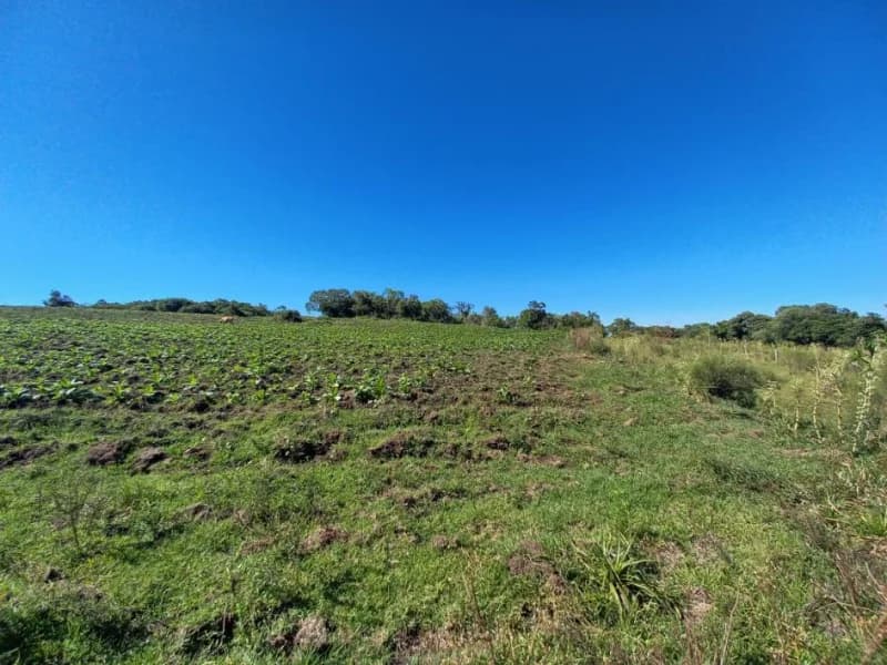 Foto 2 de 18: Terreno em leilão em Canguçu - RS — Terreno - Canguçu - RS