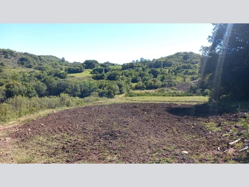 Foto 6 de 18: Terreno em leilão em Canguçu - RS — Terreno - Canguçu - RS