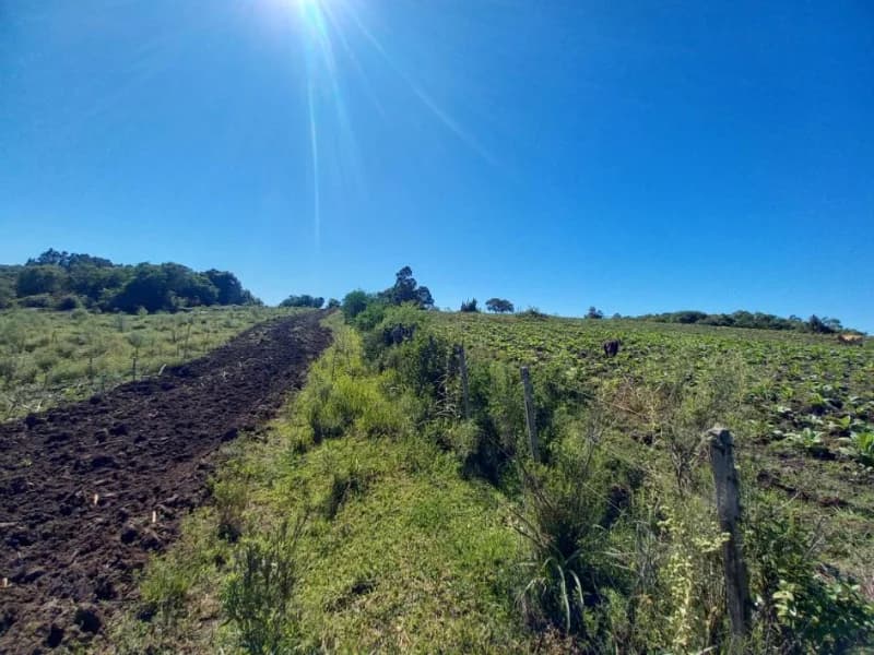 Foto 9 de 18: Terreno em leilão em Canguçu - RS — Terreno - Canguçu - RS