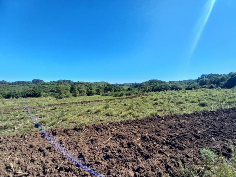 Foto 7 de 18: Terreno em leilão em Canguçu - RS — Terreno - Canguçu - RS