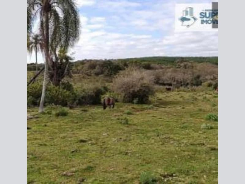 Foto 10 de 18: Terreno em leilão em Canguçu - RS — Terreno - Canguçu - RS