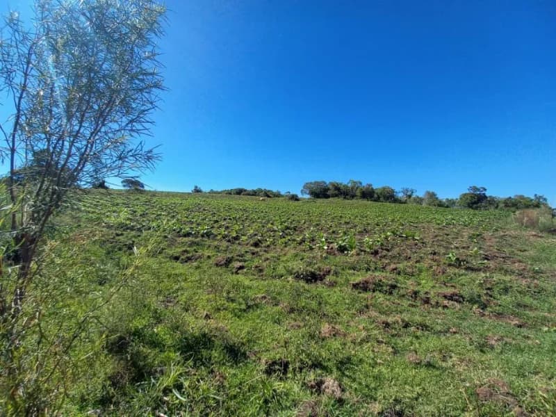 Foto 11 de 18: Terreno em leilão em Canguçu - RS — Terreno - Canguçu - RS