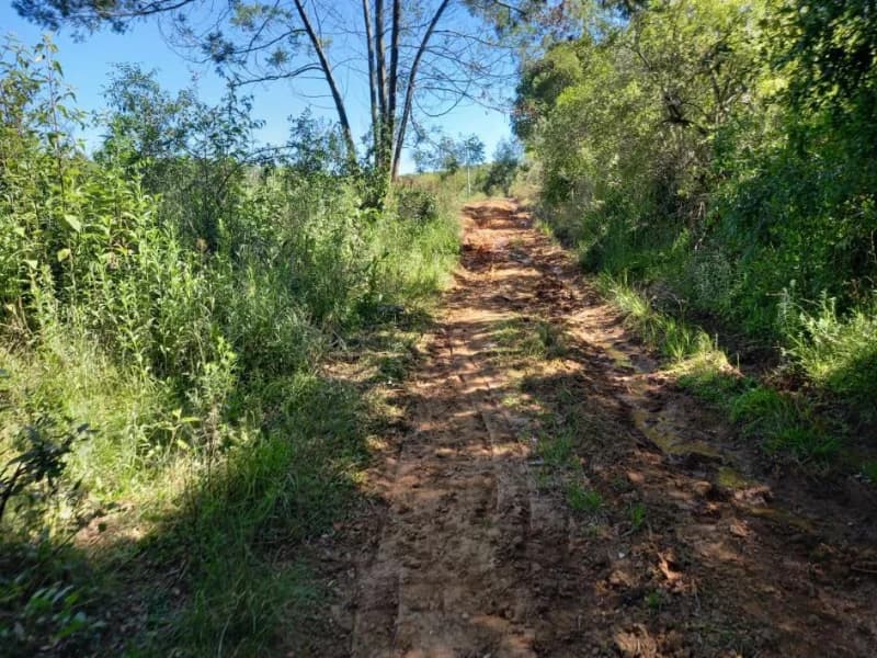 Foto 13 de 18: Terreno em leilão em Canguçu - RS — Terreno - Canguçu - RS