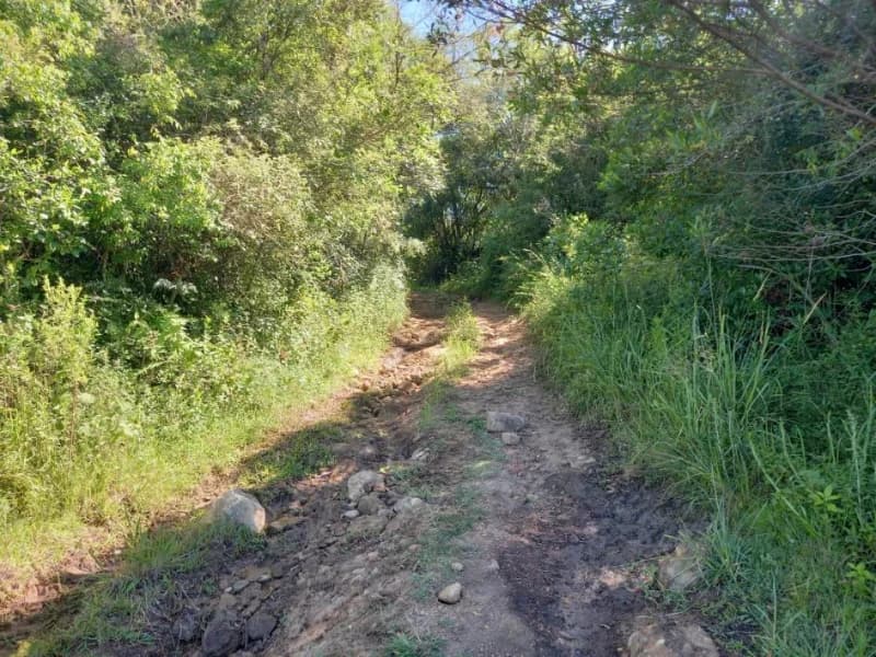 Foto 15 de 18: Terreno em leilão em Canguçu - RS — Terreno - Canguçu - RS