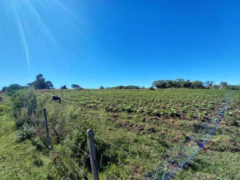 Foto 14 de 18: Terreno em leilão em Canguçu - RS — Terreno - Canguçu - RS