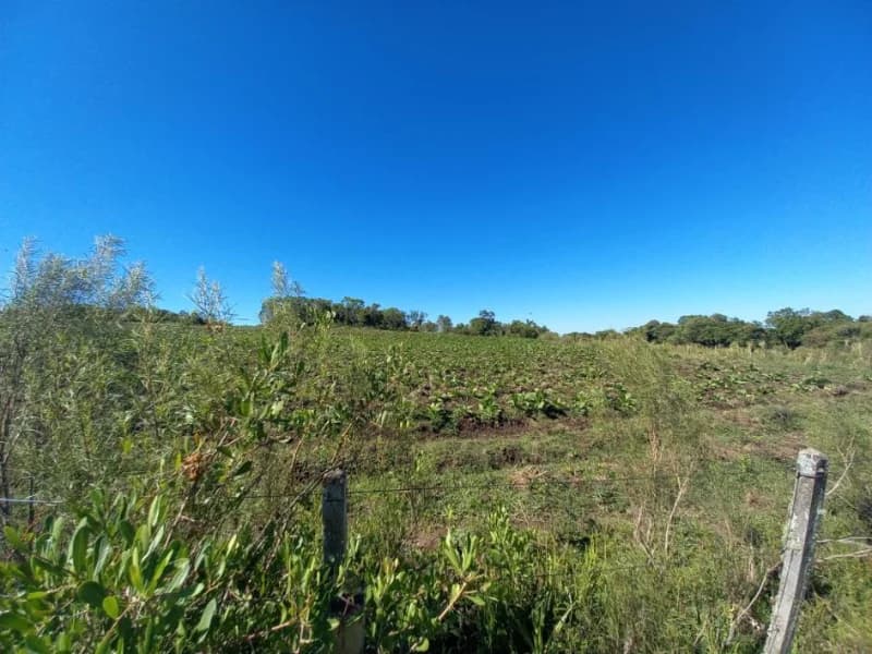 Foto 16 de 18: Terreno em leilão em Canguçu - RS — Terreno - Canguçu - RS