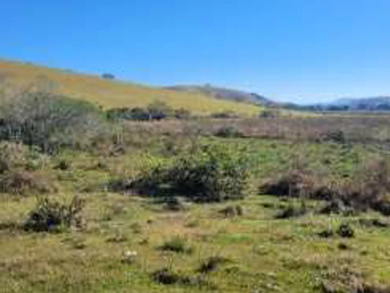 Foto 2 de 8: Terreno em leilão em Piranguinho - MG — Terreno - Piranguinho - MG