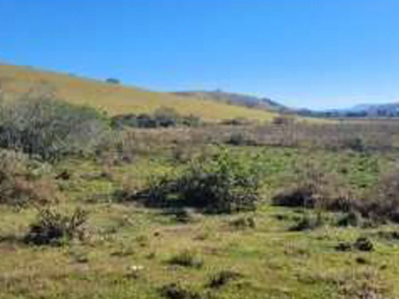 Foto 1 de 8: Terreno em leilão em Piranguinho - MG — Terreno - Piranguinho - MG