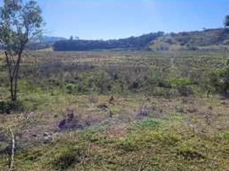 Foto 3 de 8: Terreno em leilão em Piranguinho - MG — Terreno - Piranguinho - MG