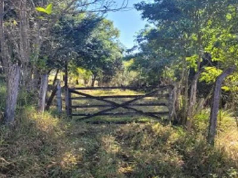 Foto 4 de 8: Terreno em leilão em Piranguinho - MG — Terreno - Piranguinho - MG