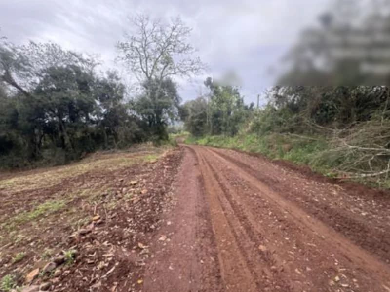 Terreno em leilão em Pinheirinho Do Vale - RS — Terreno - Pinheirinho do Vale - RS