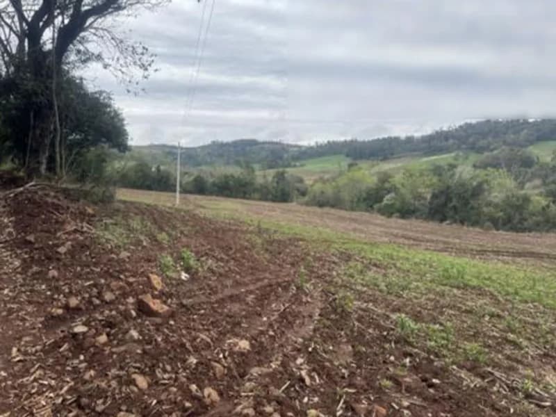 Foto 3 de 7: Terreno em leilão em Pinheirinho Do Vale - RS — Terreno - Pinheirinho do Vale - RS