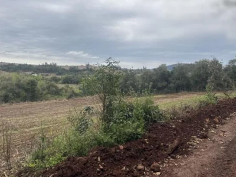 Foto 2 de 7: Terreno em leilão em Pinheirinho Do Vale - RS — Terreno - Pinheirinho do Vale - RS