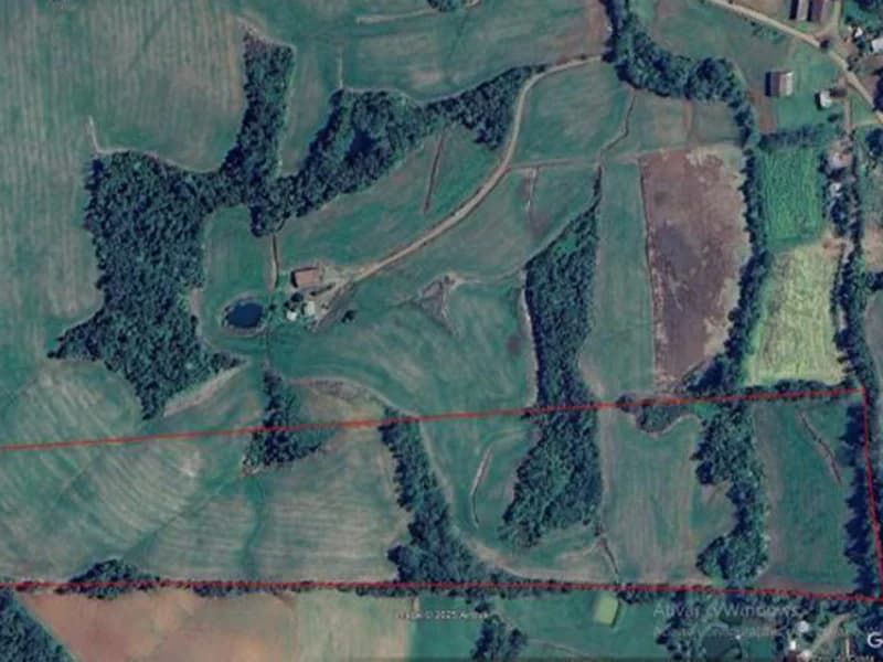 Foto 4 de 7: Terreno em leilão em Pinheirinho Do Vale - RS — Terreno - Pinheirinho do Vale - RS
