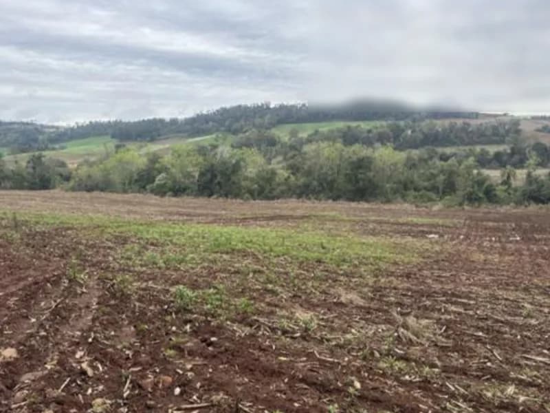 Foto 5 de 7: Terreno em leilão em Pinheirinho Do Vale - RS — Terreno - Pinheirinho do Vale - RS