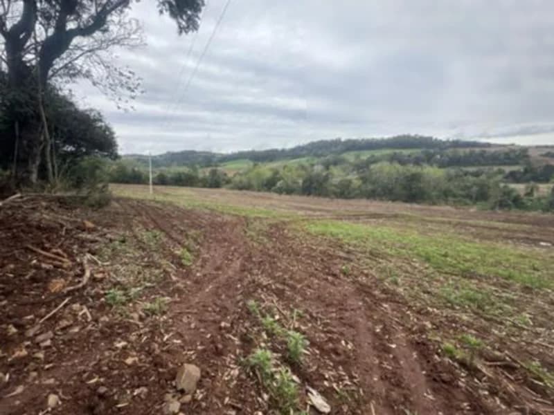 Foto 6 de 7: Terreno em leilão em Pinheirinho Do Vale - RS — Terreno - Pinheirinho do Vale - RS