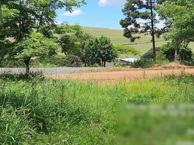 Foto 8 de 8: Terreno em leilão em Palmitos - SC — Terreno - Palmitos - SC