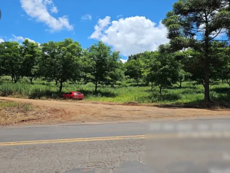 Foto 7 de 8: Terreno em leilão em Palmitos - SC — Terreno - Palmitos - SC