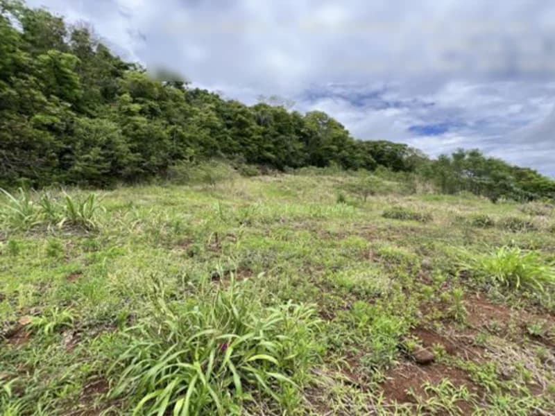 Foto 1 de 10: Terreno em leilão em Pinhal - RS — Terreno - Pinhal - RS