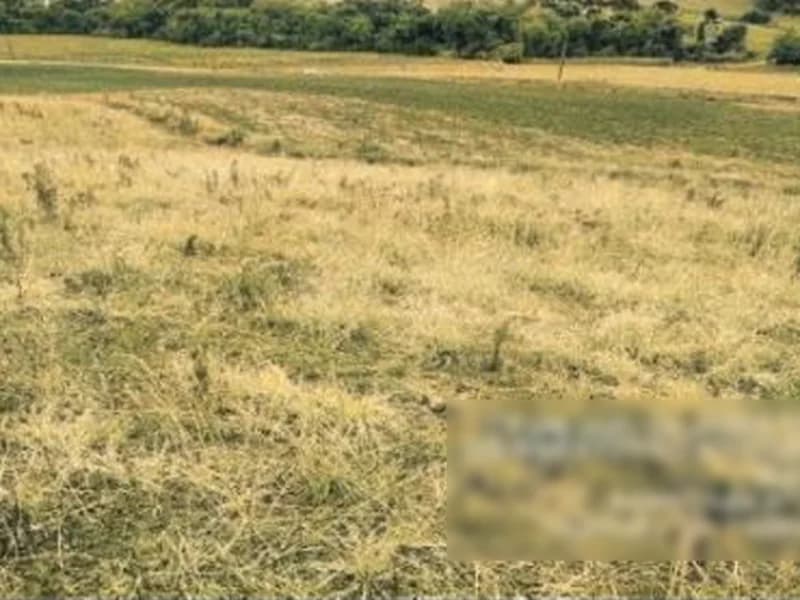 Foto 1 de 8: Terreno em leilão em Saudades - SC — Terreno - Saudades - SC