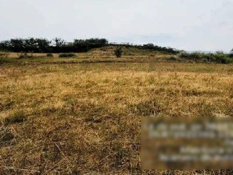 Foto 8 de 8: Terreno em leilão em Saudades - SC — Terreno - Saudades - SC