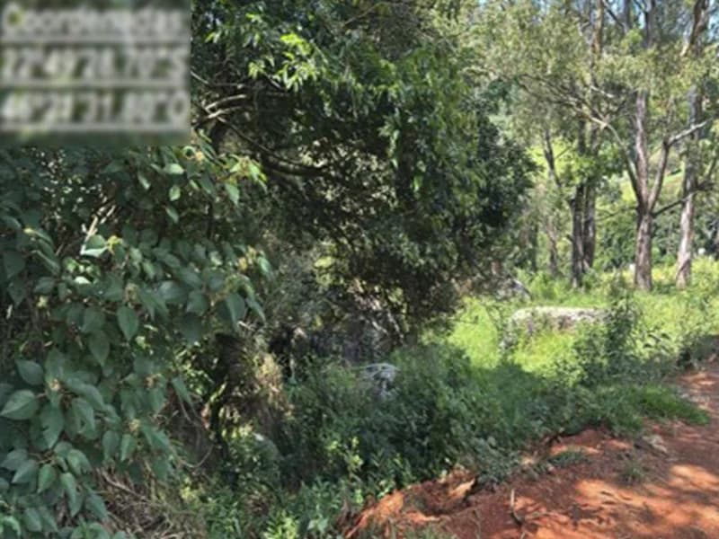 Foto 5 de 6: Terreno em leilão em Extrema - MG — Terreno - Extrema - MG