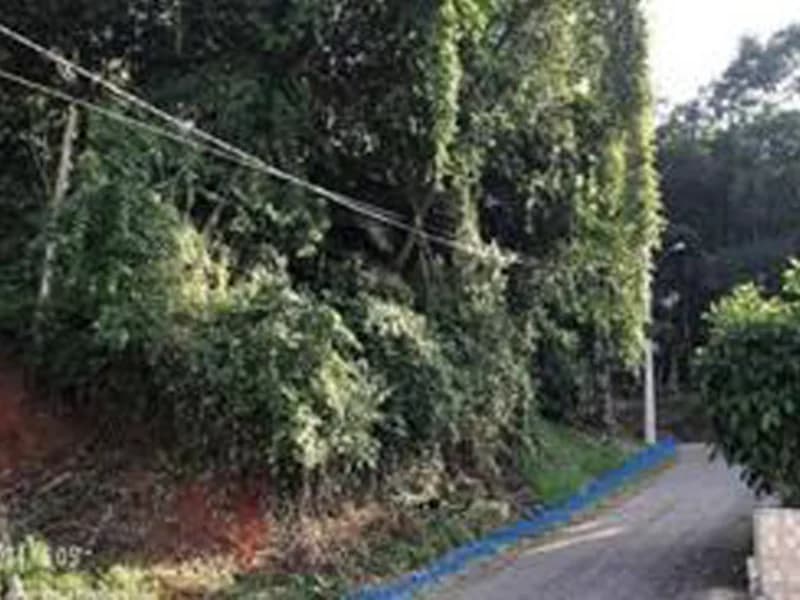 Foto 5 de 8: Terreno em leilão em Blumenau - SC, bairro Escola Agrícola — Terreno - Blumenau - SC