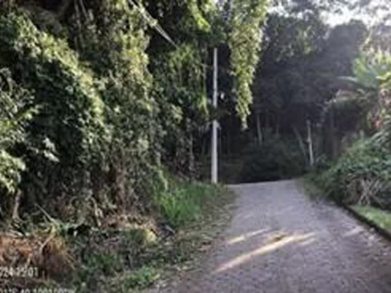 Foto 3 de 8: Terreno em leilão em Blumenau - SC, bairro Escola Agrícola — Terreno - Blumenau - SC