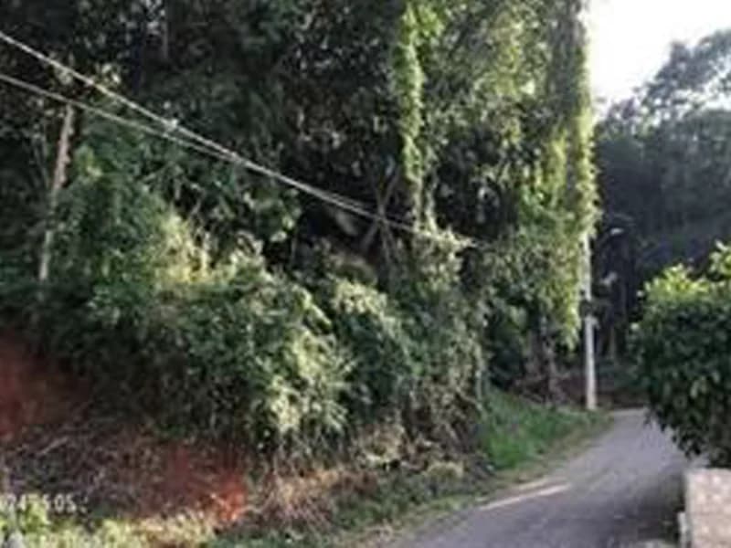 Foto 7 de 8: Terreno em leilão em Blumenau - SC, bairro Escola Agrícola — Terreno - Blumenau - SC