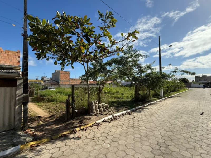 Foto 8 de 9: Terreno em leilão em Tijucas - SC, bairro Praça — Terreno - Tijucas - SC