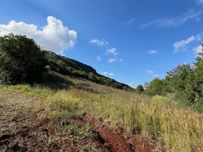Foto 6 de 13: Terreno em leilão em Braga - RS — Fração de Terras - Braga - RS