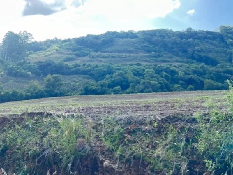 Foto 5 de 13: Terreno em leilão em Braga - RS — Fração de Terras - Braga - RS