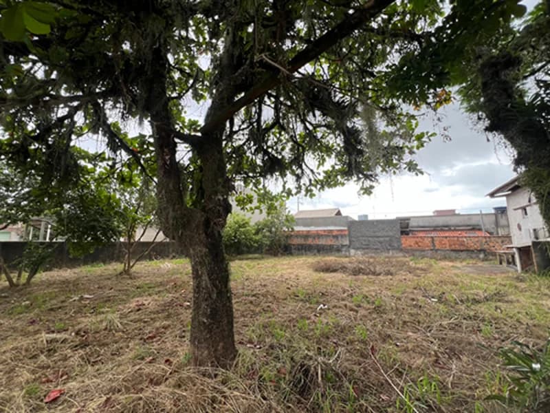 Foto 3 de 4: Terreno em leilão em Tijucas - SC, bairro Centro — Terreno - Tijucas - SC