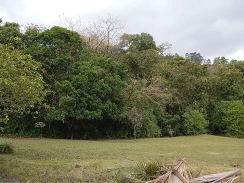 Terreno em leilão em Ibirama - SC — Terreno - Ibirama - SC