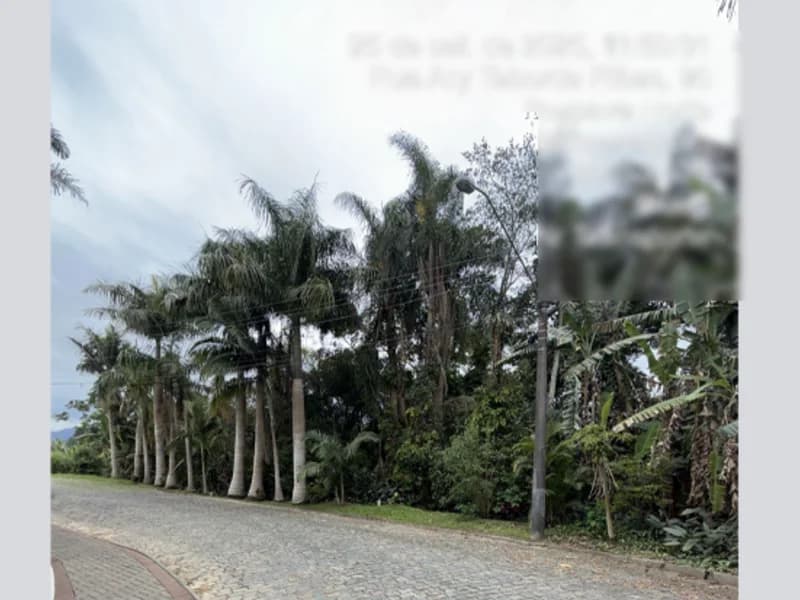 Terreno em leilão em Blumenau - SC, bairro Itoupava Norte — Terreno - Blumenau - SC