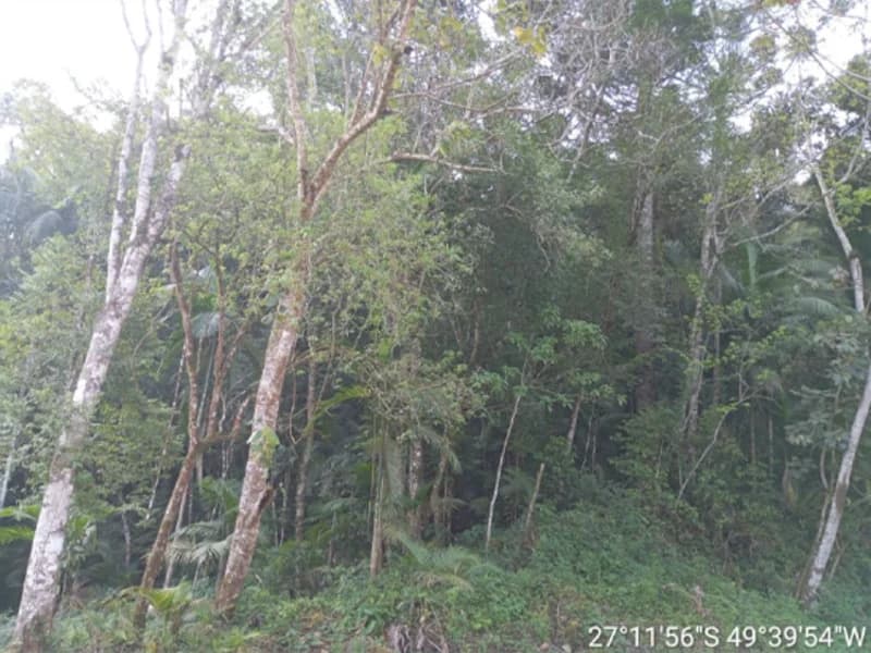 Foto 3 de 16: Terreno em leilão em Rio Do Sul - SC, bairro Fundo Canoas — Terreno - Rio do Sul - SC
