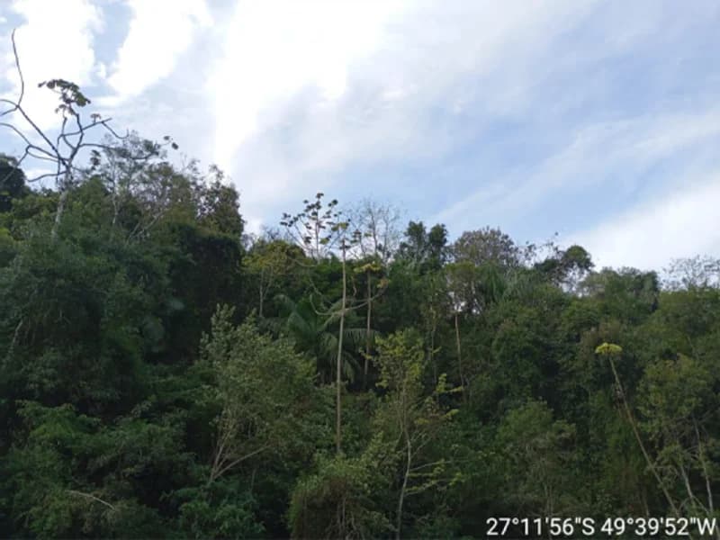 Foto 4 de 16: Terreno em leilão em Rio Do Sul - SC, bairro Fundo Canoas — Terreno - Rio do Sul - SC