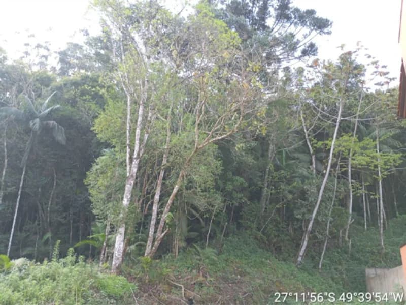 Foto 6 de 16: Terreno em leilão em Rio Do Sul - SC, bairro Fundo Canoas — Terreno - Rio do Sul - SC