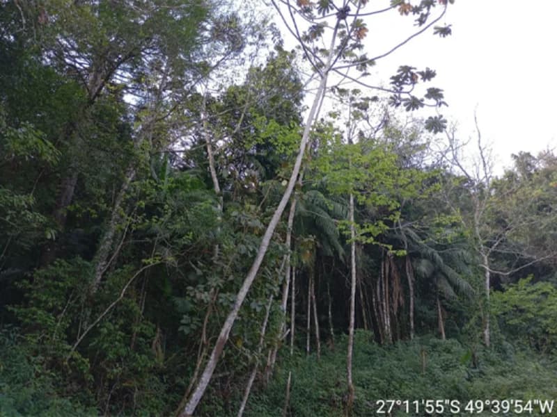 Foto 7 de 16: Terreno em leilão em Rio Do Sul - SC, bairro Fundo Canoas — Terreno - Rio do Sul - SC