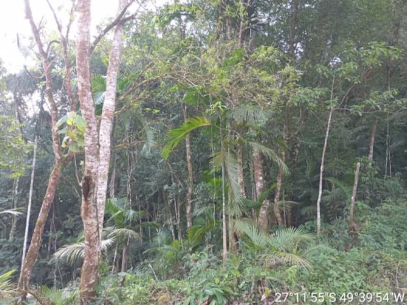 Foto 11 de 16: Terreno em leilão em Rio Do Sul - SC, bairro Fundo Canoas — Terreno - Rio do Sul - SC