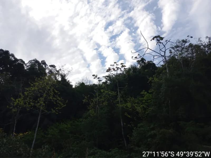 Foto 10 de 16: Terreno em leilão em Rio Do Sul - SC, bairro Fundo Canoas — Terreno - Rio do Sul - SC