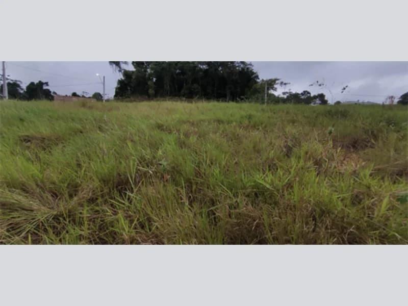 Foto 5 de 14: Terreno em leilão em Indaial - SC, bairro Arapongas — Terreno - Indaial - SC
