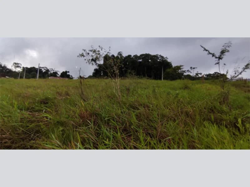 Foto 13 de 14: Terreno em leilão em Indaial - SC, bairro Arapongas — Terreno - Indaial - SC