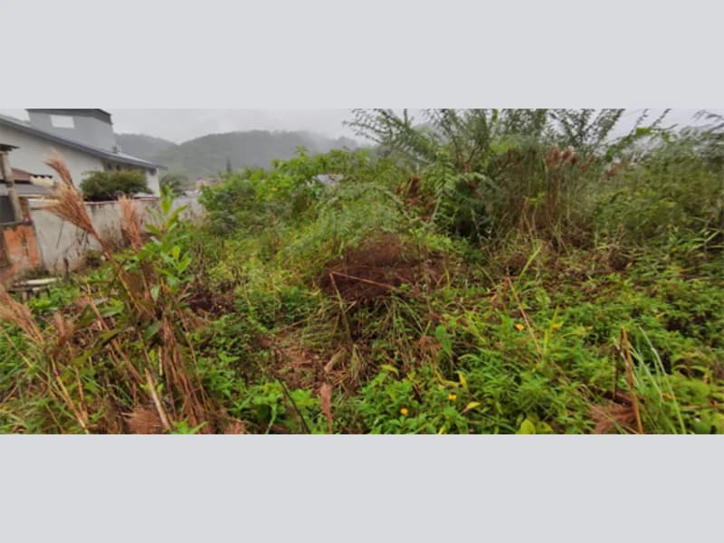 Foto 17 de 21: Terreno em leilão em Indaial - SC, bairro Estrada das Areias — Terreno - Indaial - SC