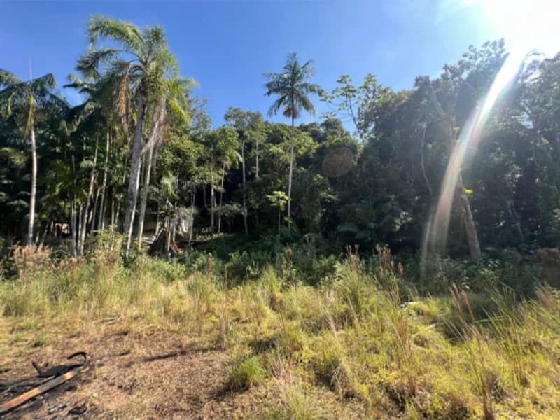 Foto 12 de 28: Terreno em leilão em Gaspar - SC, bairro Gasparinho — Terreno - Gaspar - SC