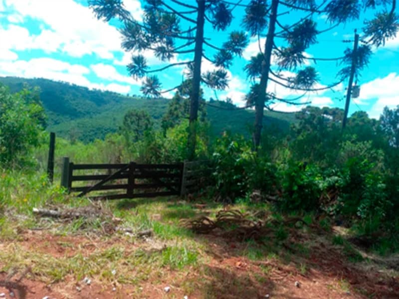 Foto 1 de 4: Area Rural em leilão em Campestre Da Serra - RS — Área Rural - Campestre da Serra - RS