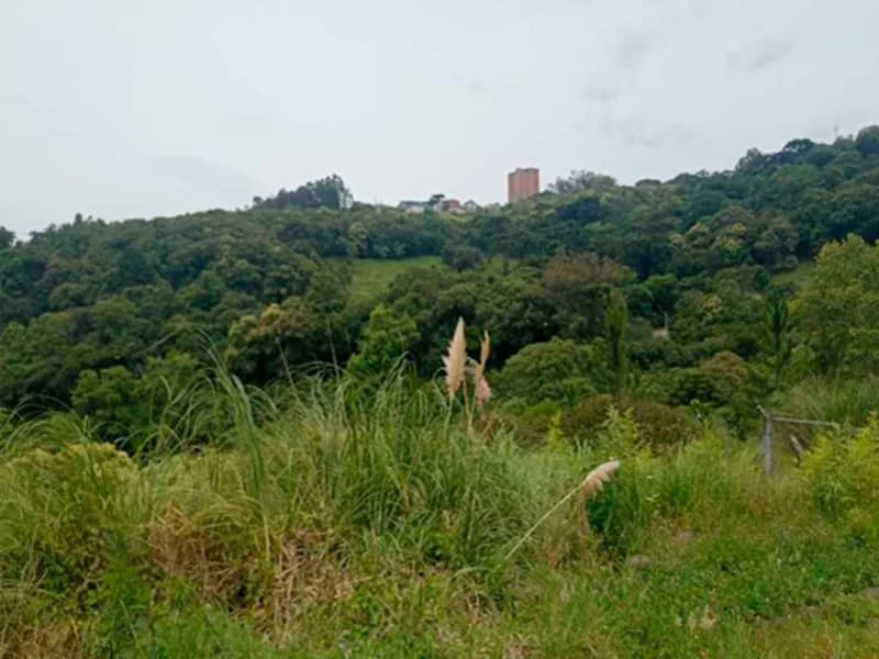 Foto 9 de 10: Terreno em leilão em Caxias Do Sul - RS — Terreno - Caxias do Sul - RS