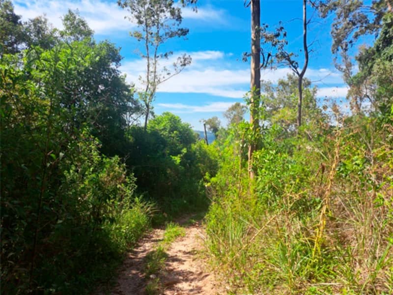 Foto 1 de 4: Terreno em leilão em Bento Gonçalves - RS — Terreno - Bento Gonçalves - RS