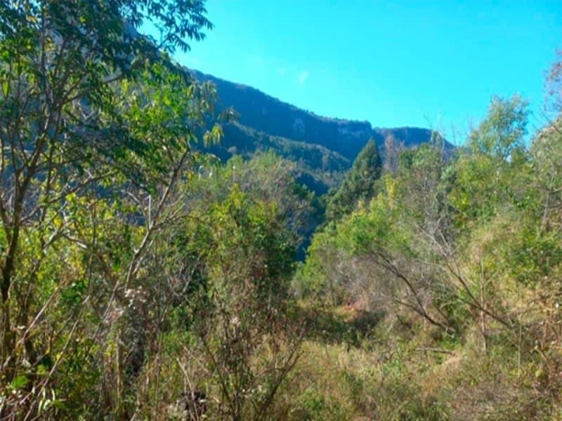 Foto 2 de 6: Terreno em leilão em Caxias Do Sul - RS, bairro Vila Oliva — Terreno - Caxias do Sul - RS