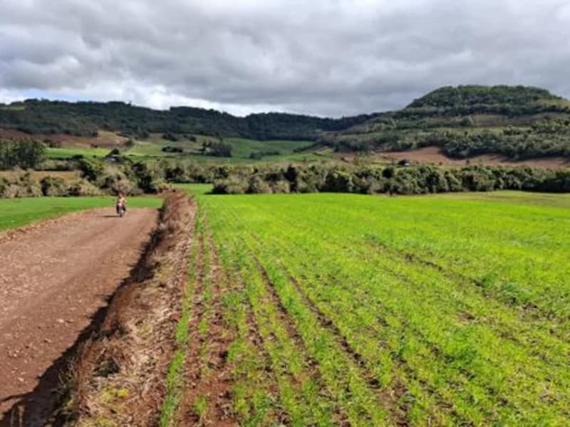 Foto 7 de 8: Terreno em leilão em Pinhal - RS — Terreno - Pinhal - RS